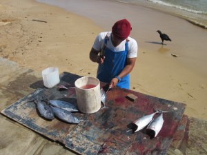 Filleting tuna on the beach, Buzios